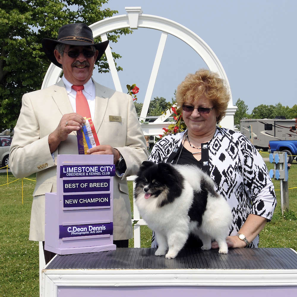 Can CH. Char’s Parti For Two