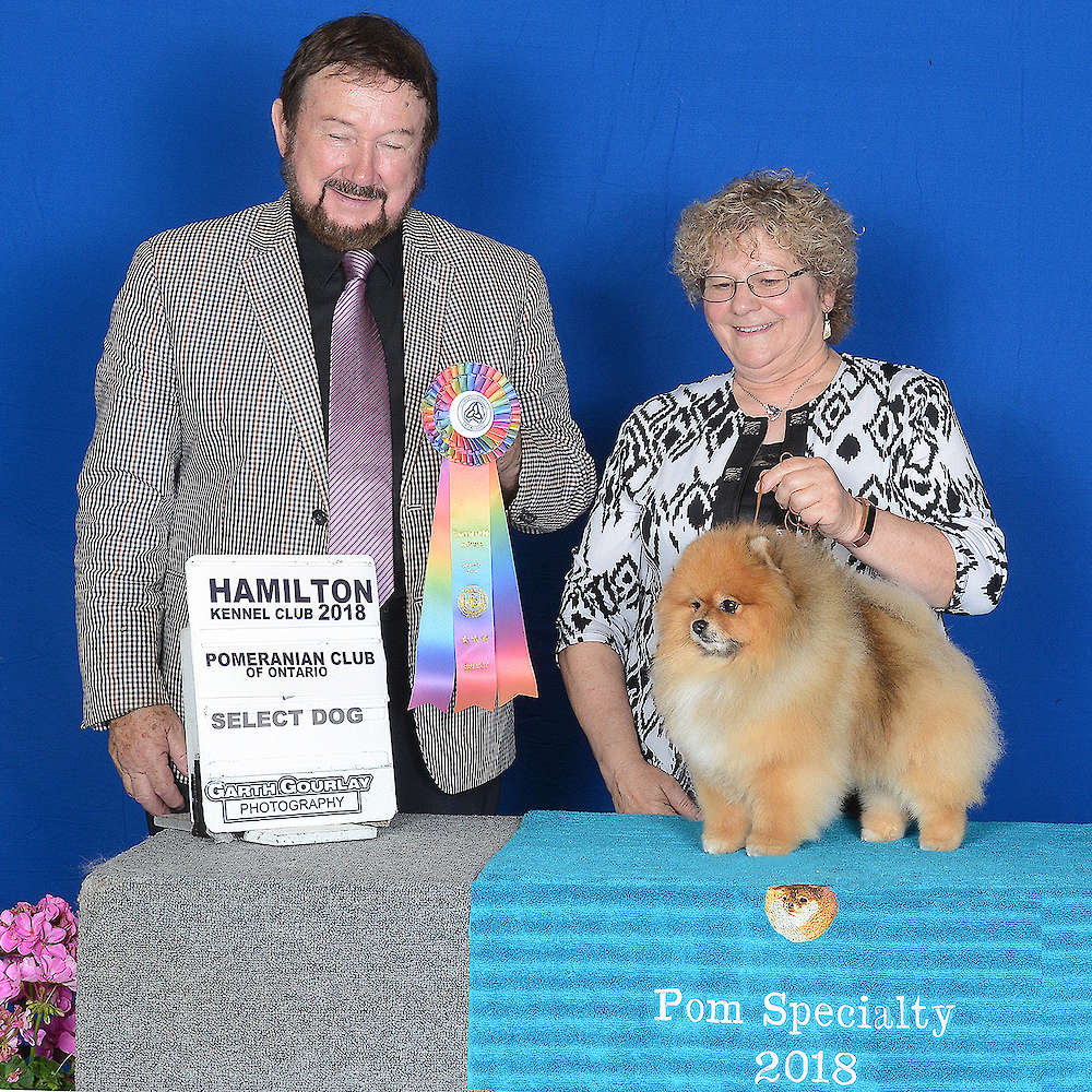 Can GCH/Am CH. Char’s Believe In Magic