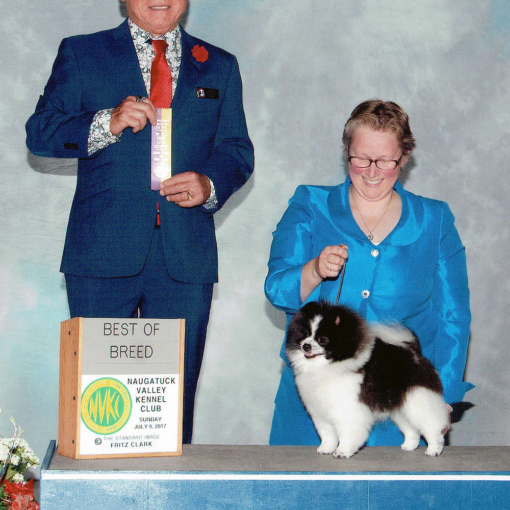 Am CH Char’s Parti To X S