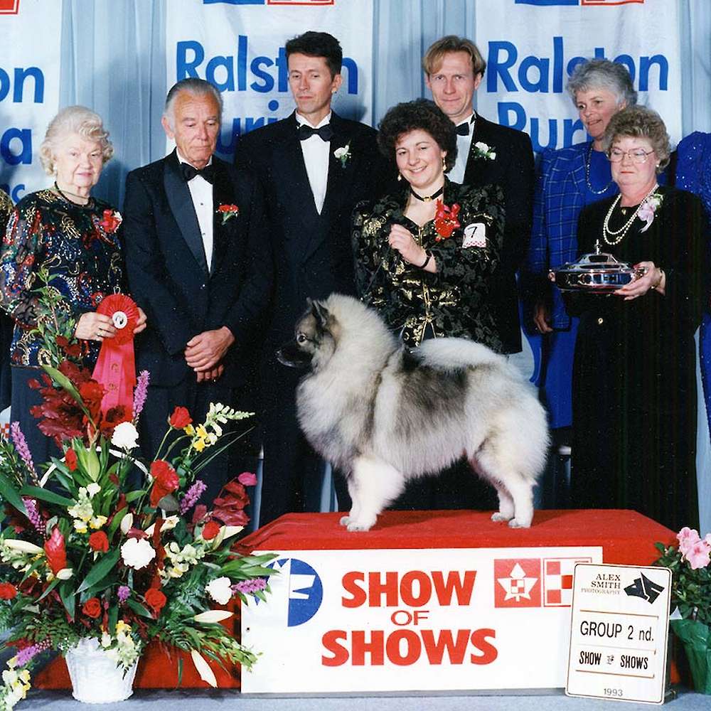 Can(BIS)/Am CH. Keesbrook’s Hint O’Magic CHOF