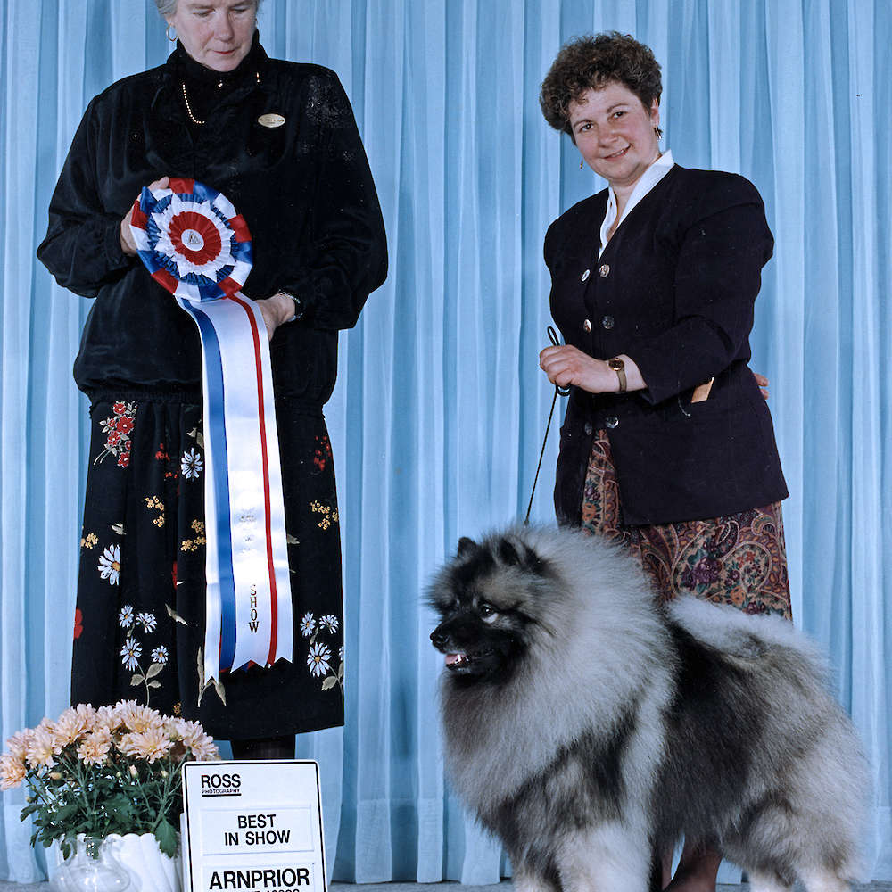 Can(BIS/BISS)/Am CH. Keesbrook’s Believe N Magic CHOF, ROMX, COM