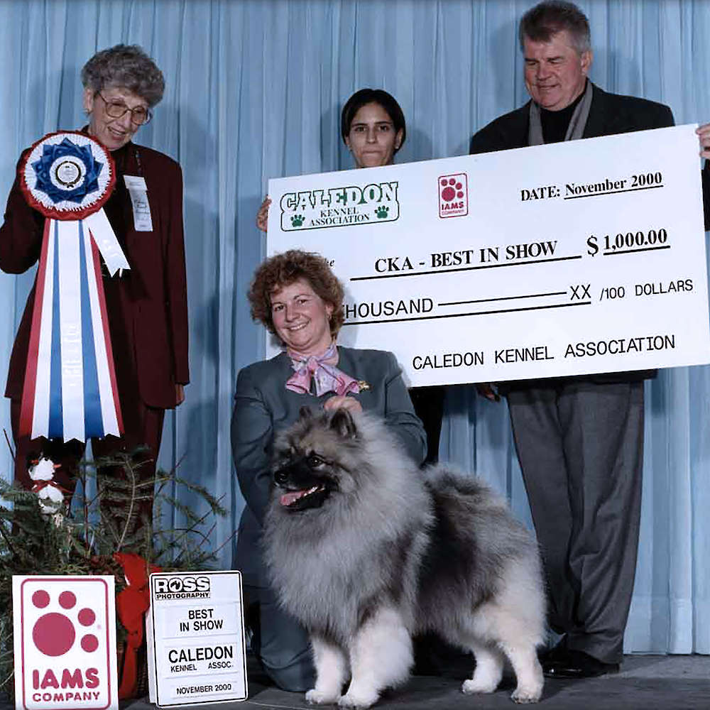 Can(BIS)/Am CH. Keesbrook’s The Jigs Up CHOF