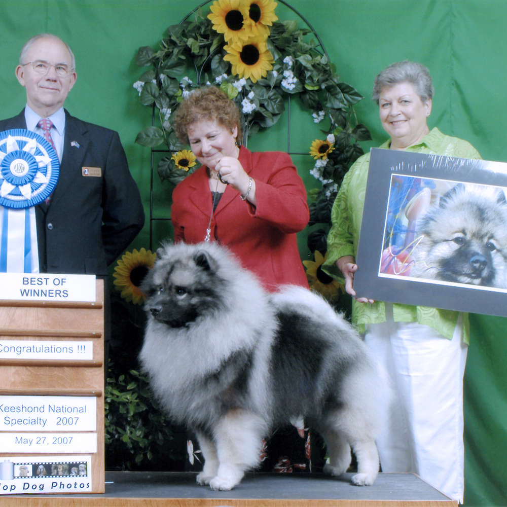 Can/Am/Int’l CH. Volfgand D’Arlande