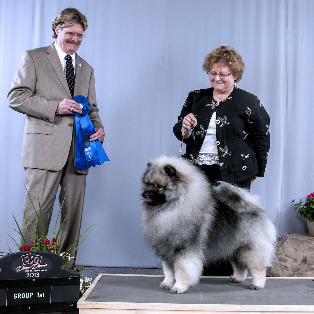 Can/Am CH. Kealoha-Shamrock TGIF At Keesbrook