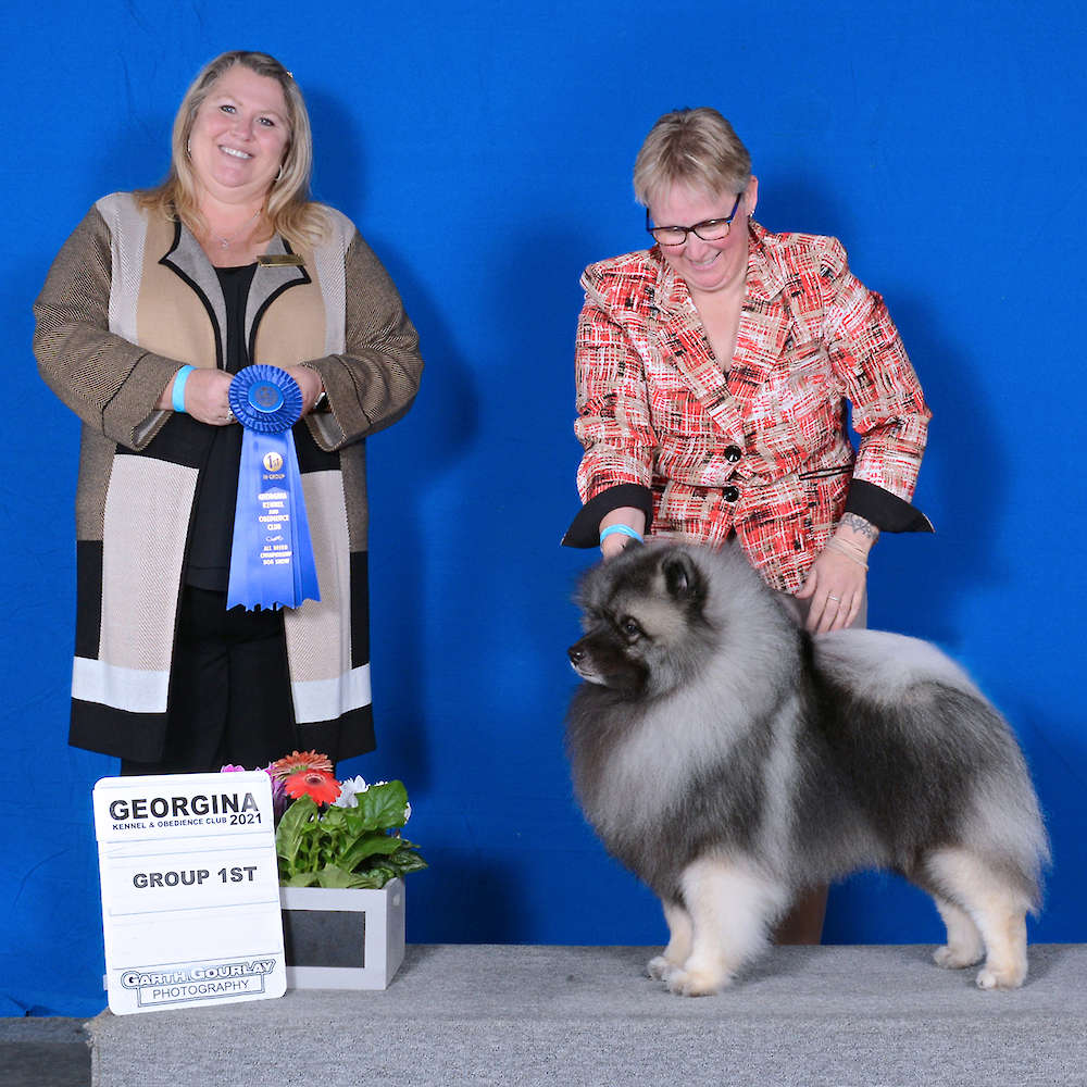 Can GCH Discover Fortune N Glory At Keesbrook